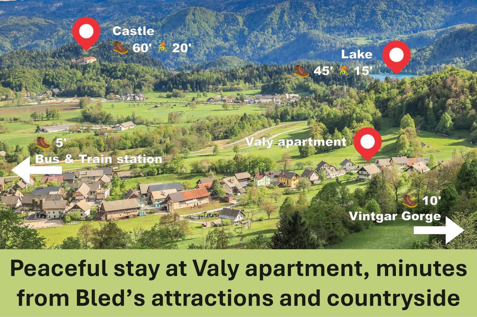 Apartment Valy - Free Bikes, Relaxing Terrace & Near Bled Eksteriør bilde